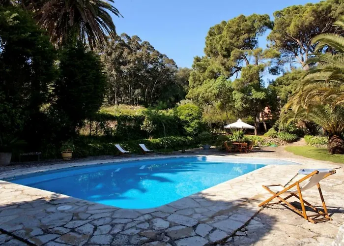 Akivillas Teltale فيلة