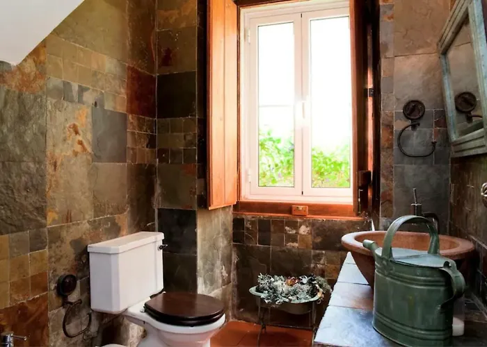 فيلة Akivillas Teltale سيسيمبرا